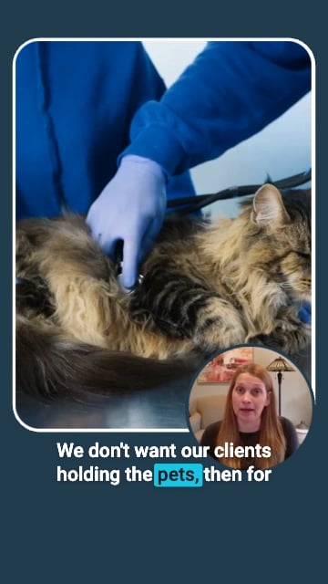 What does the day to day look like as a Veterinarian?