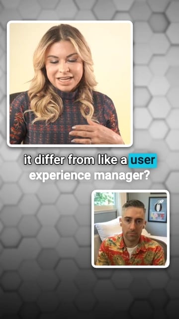 What is a Design Program Manager?