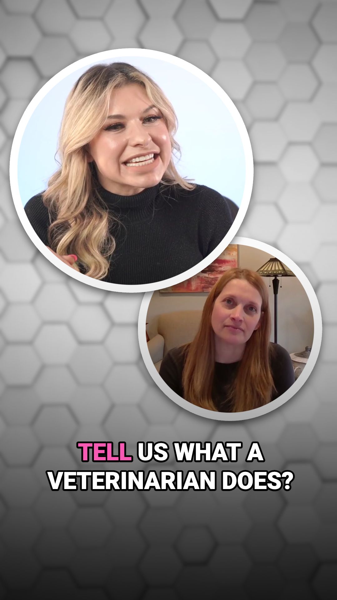 WHAT DOES A VETERINARIAN DO intelligence overview